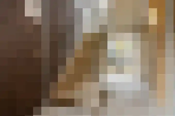Jutfaseweg 37 G Utrecht thumbnail 8