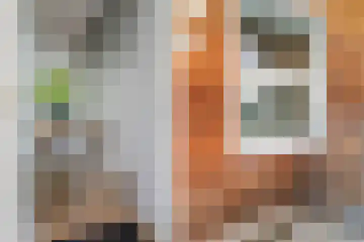 Jutfaseweg 37 G Utrecht thumbnail 9