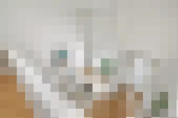 Jutfaseweg 42 L Utrecht thumbnail 24