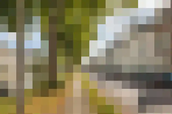 Jutfaseweg 42 L Utrecht thumbnail 31