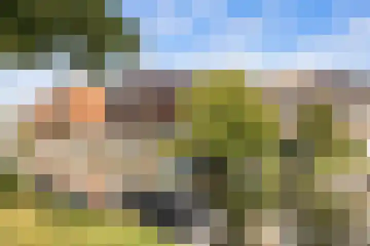 Jutfaseweg 42 L Utrecht thumbnail 34