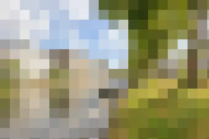 Jutfaseweg 42 L Utrecht thumbnail 37