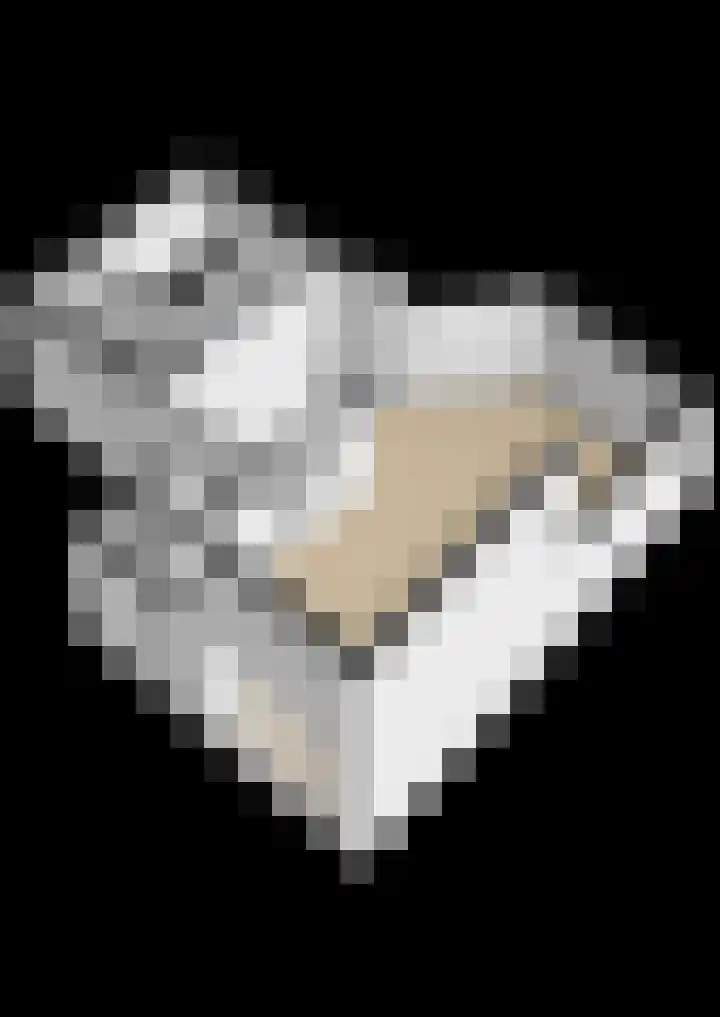 Jutfaseweg 42 L Utrecht thumbnail 39