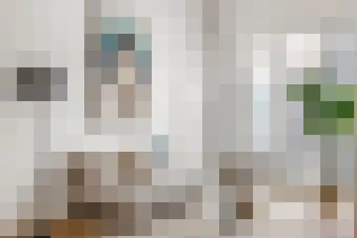 Jutfaseweg 42 L Utrecht thumbnail 9