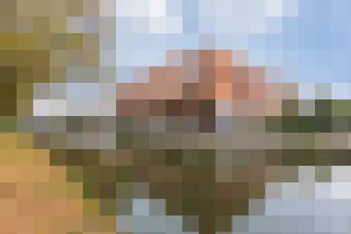 Jutfaseweg 75 Utrecht thumbnail 39
