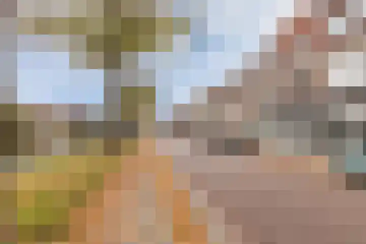 Jutfaseweg 75 Utrecht thumbnail 41