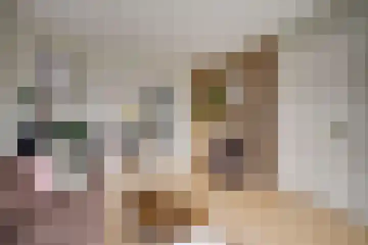 Jutfaseweg 85 Utrecht thumbnail 8