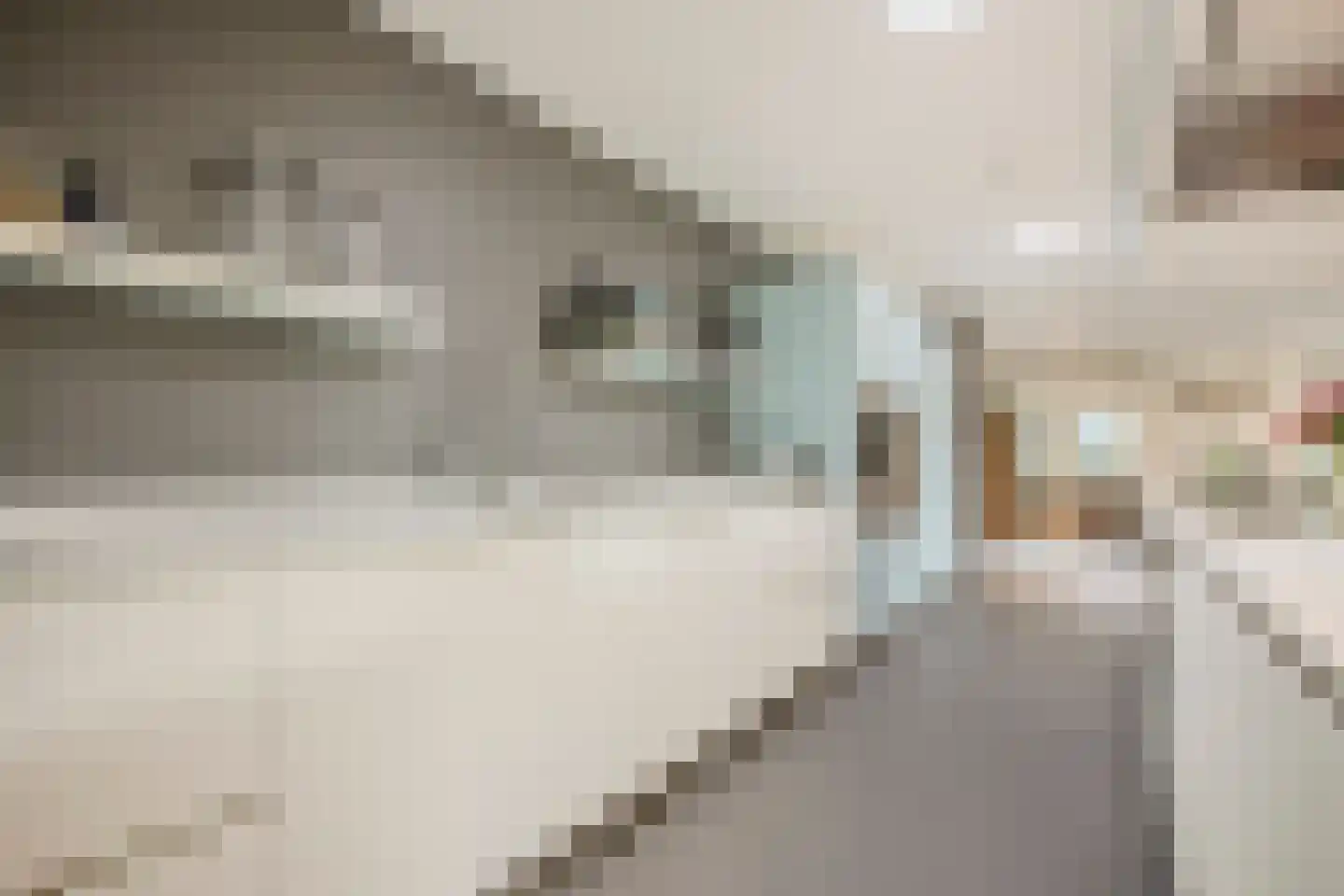 Jutta van Nassaulaan 8 Cuijk thumbnail 11