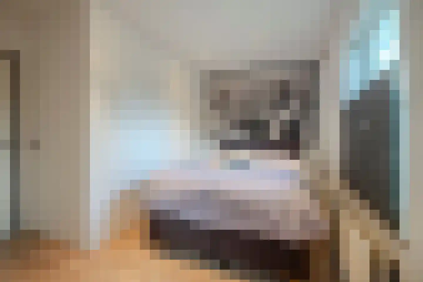 Jutta van Nassaulaan 8 Cuijk thumbnail 11