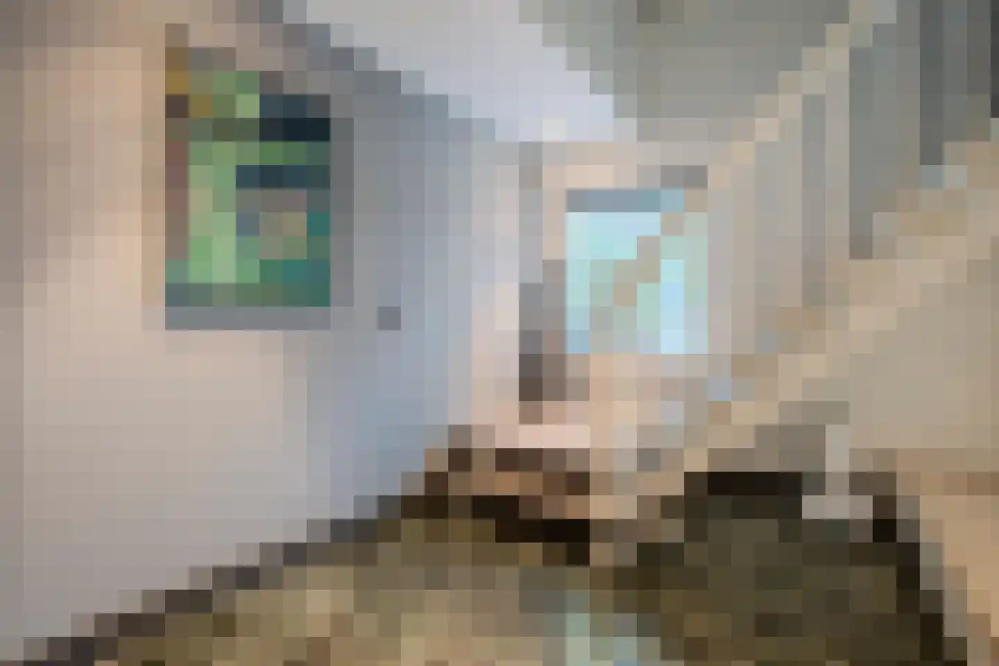 Jutta van Nassaulaan 8 Cuijk thumbnail 14