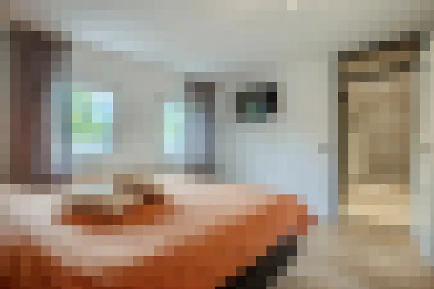 Jutta van Nassaulaan 8 Cuijk thumbnail 17