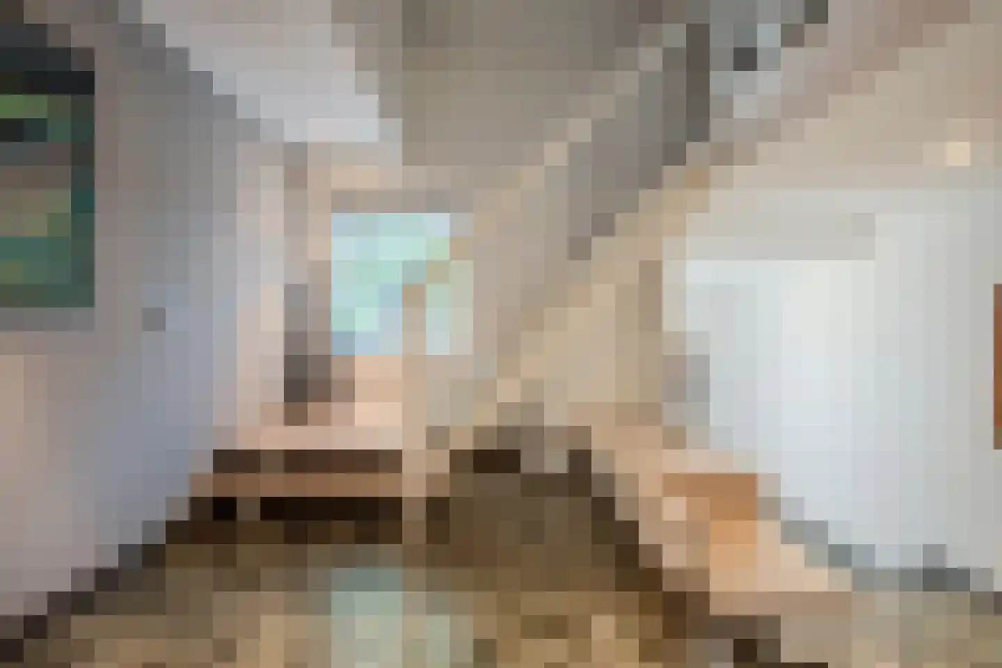Jutta van Nassaulaan 8 Cuijk thumbnail 25