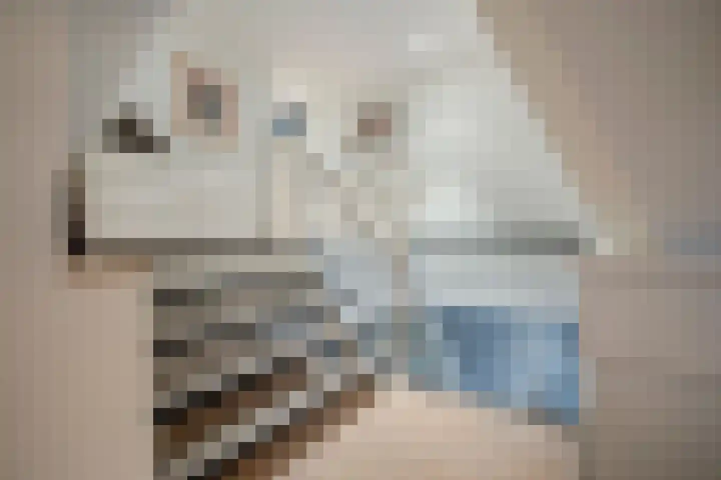 Jutta van Nassaulaan 8 Cuijk thumbnail 26