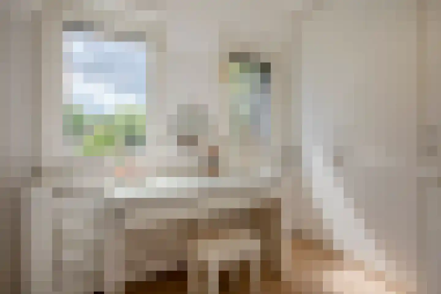 Jutta van Nassaulaan 8 Cuijk thumbnail 37