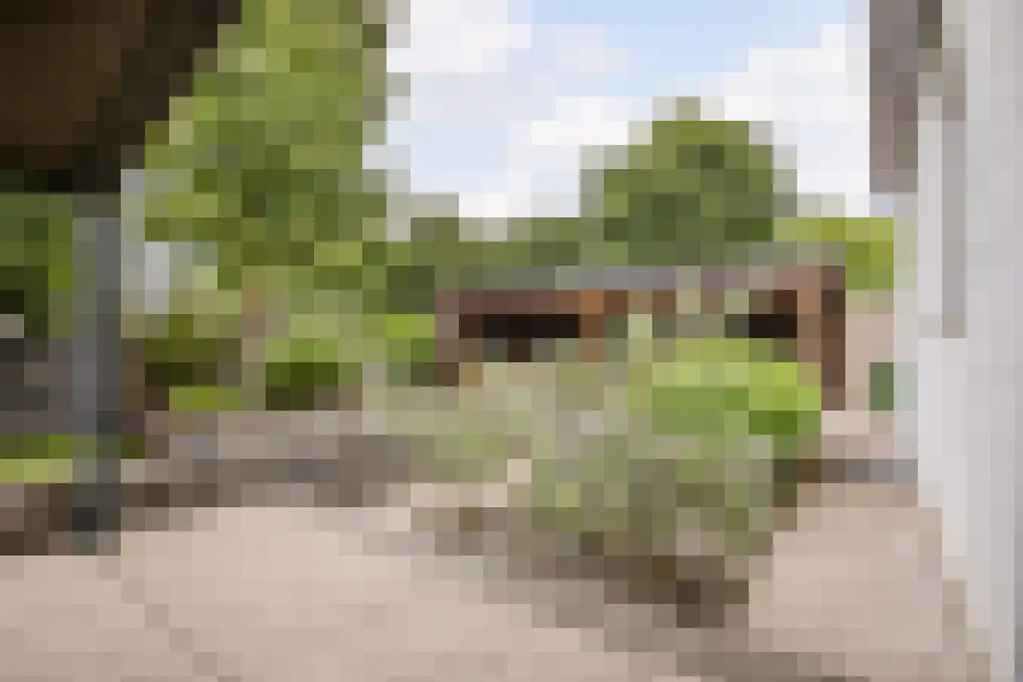 Jutta van Nassaulaan 8 Cuijk thumbnail 43