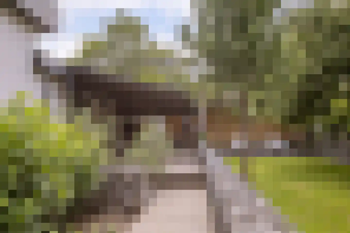 Jutta van Nassaulaan 8 Cuijk thumbnail 50