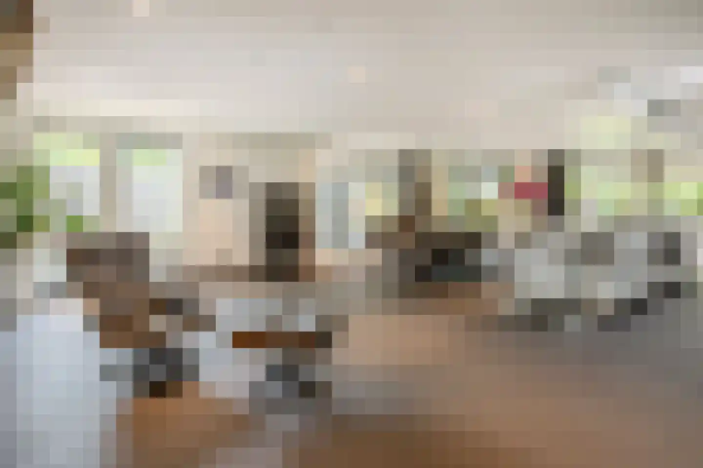 Jutta van Nassaulaan 8 Cuijk thumbnail 7