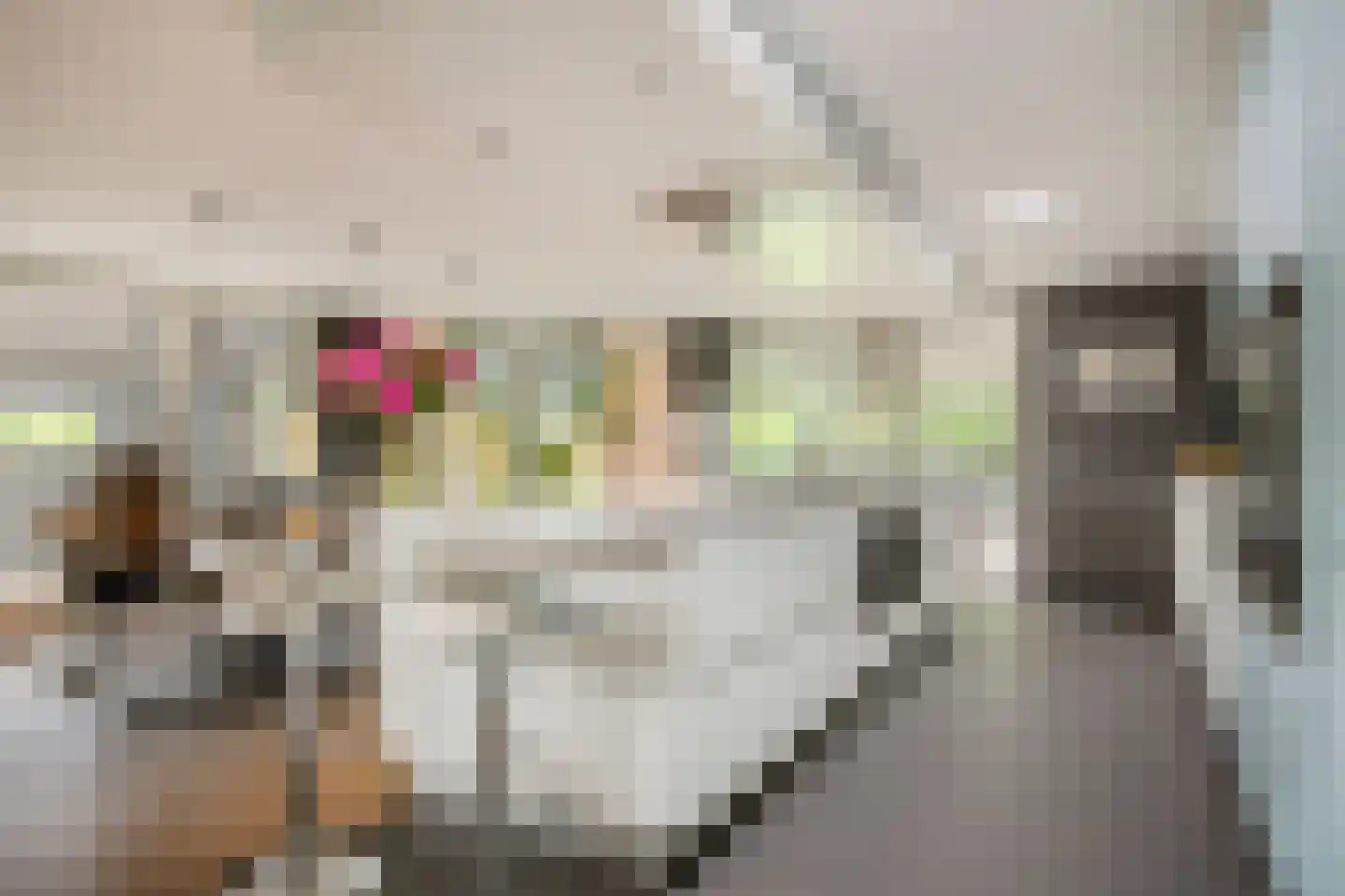 Jutta van Nassaulaan 8 Cuijk thumbnail 8