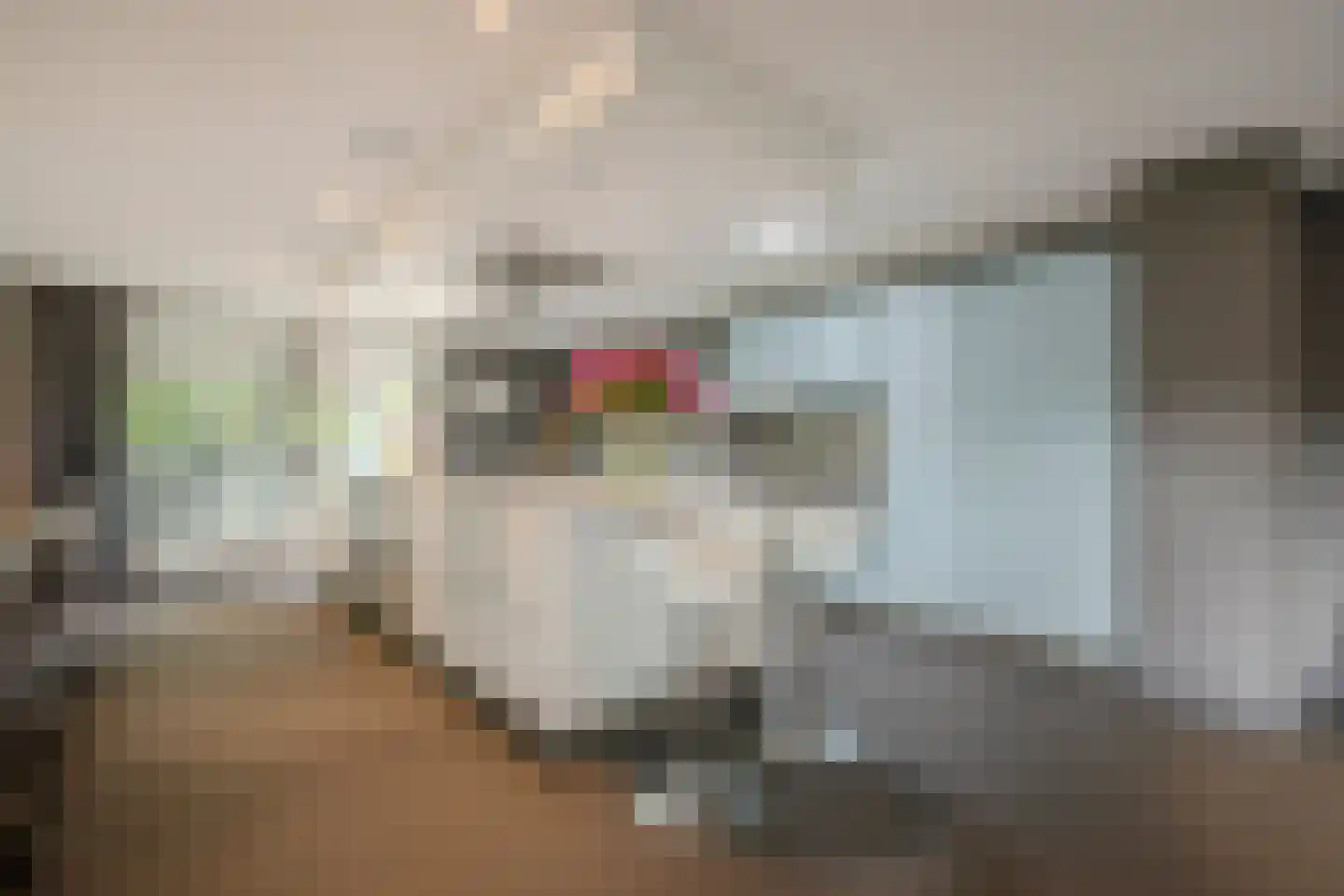 Jutta van Nassaulaan 8 Cuijk thumbnail 9