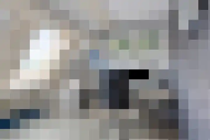 Jutte 43 Heerenveen thumbnail 20