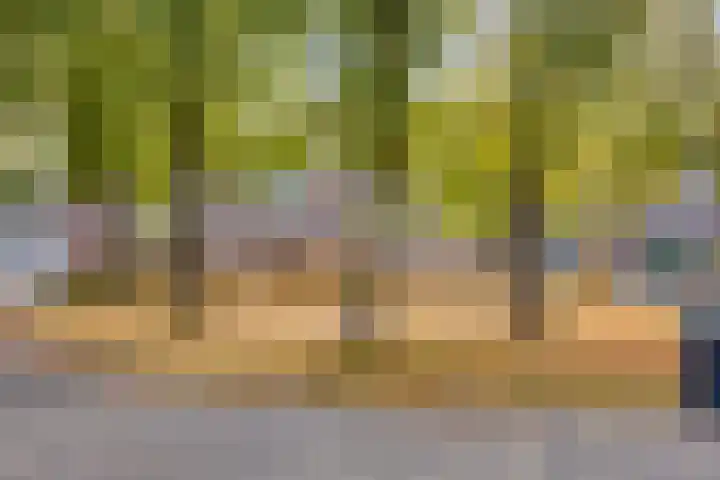 Jutte 43 Heerenveen thumbnail 32