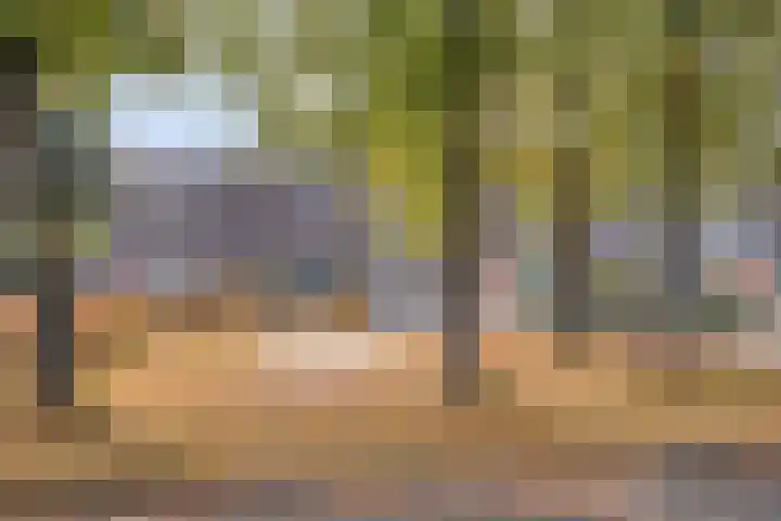 Jutte 43 Heerenveen thumbnail 33