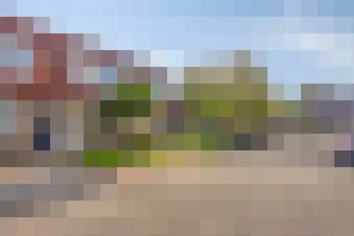 Jutte 43 Heerenveen thumbnail 4