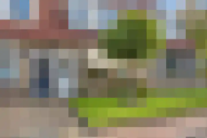 Jutte 43 Heerenveen thumbnail 5