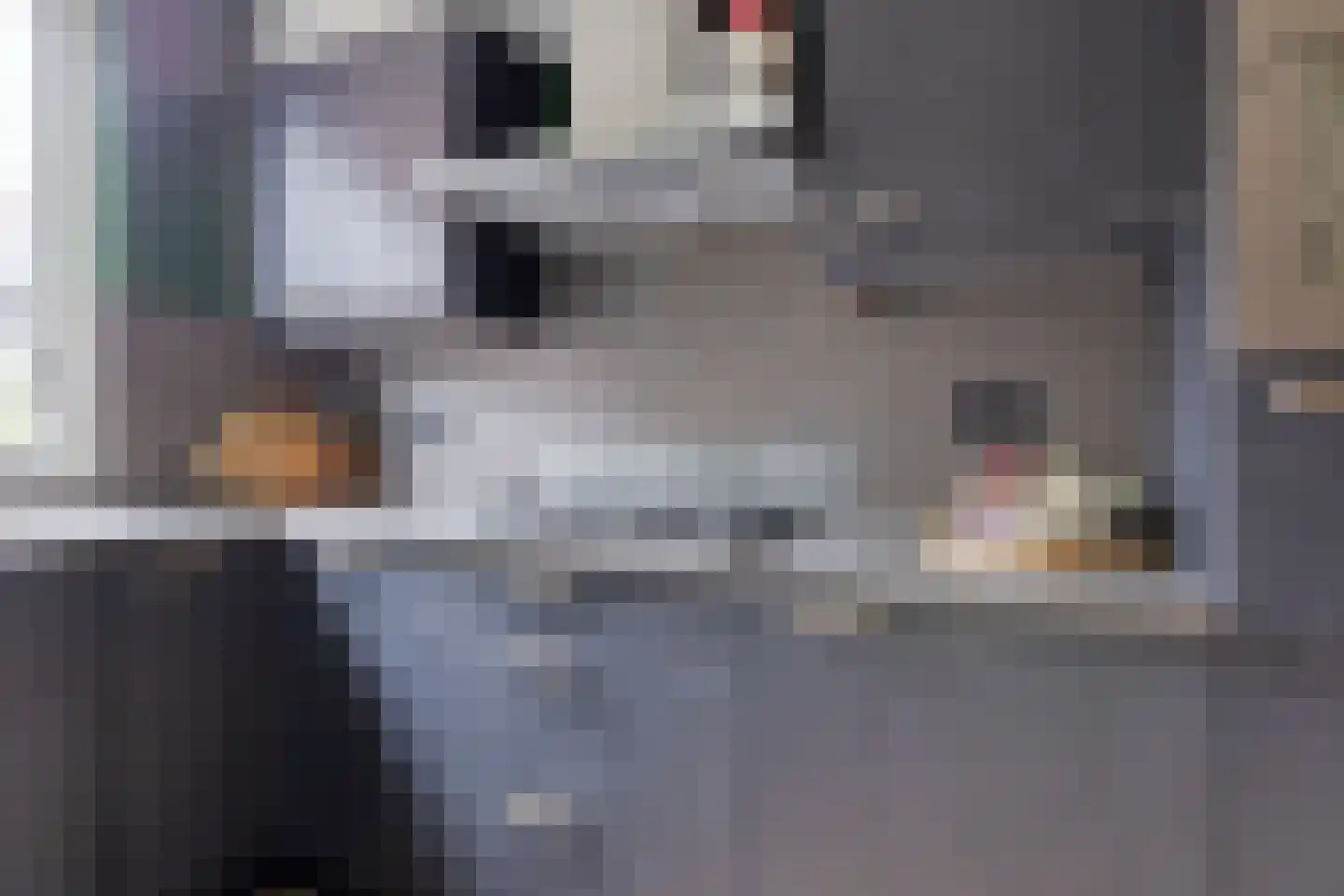 Jutte 52 Heerenveen thumbnail 17