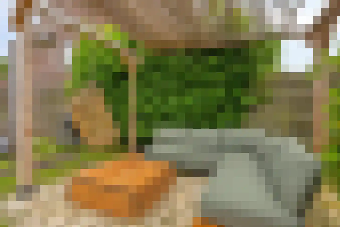 Jutte 52 Heerenveen thumbnail 32