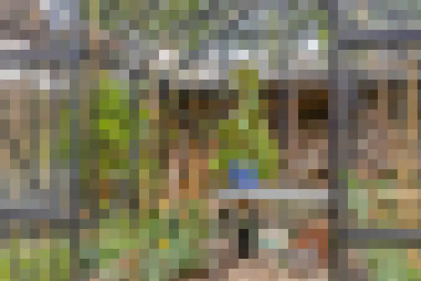 Jutte 52 Heerenveen thumbnail 33