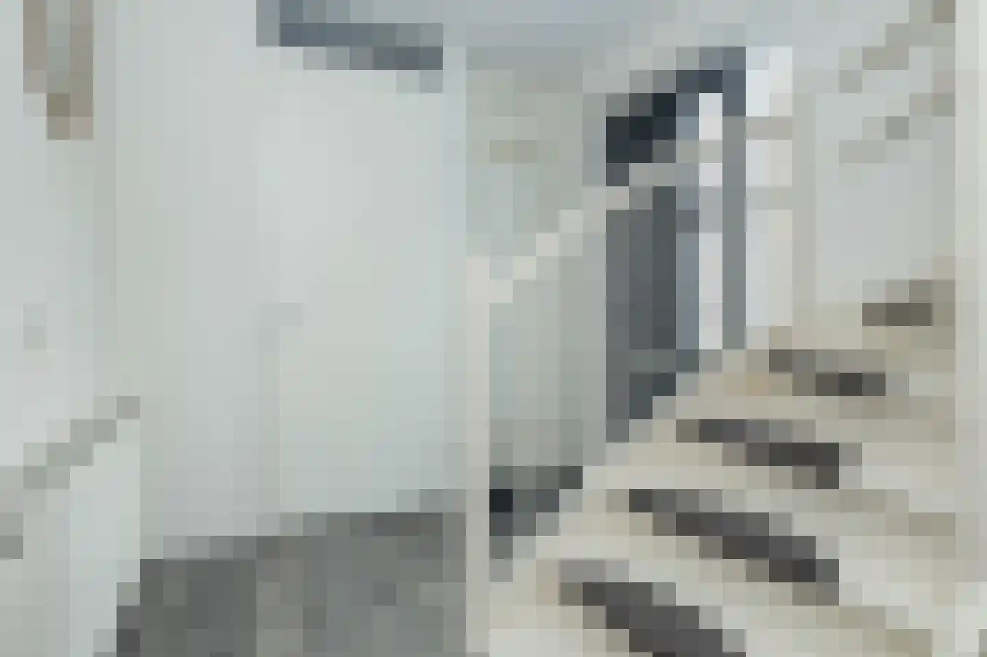 Jutte 7 Zuidwolde thumbnail 18