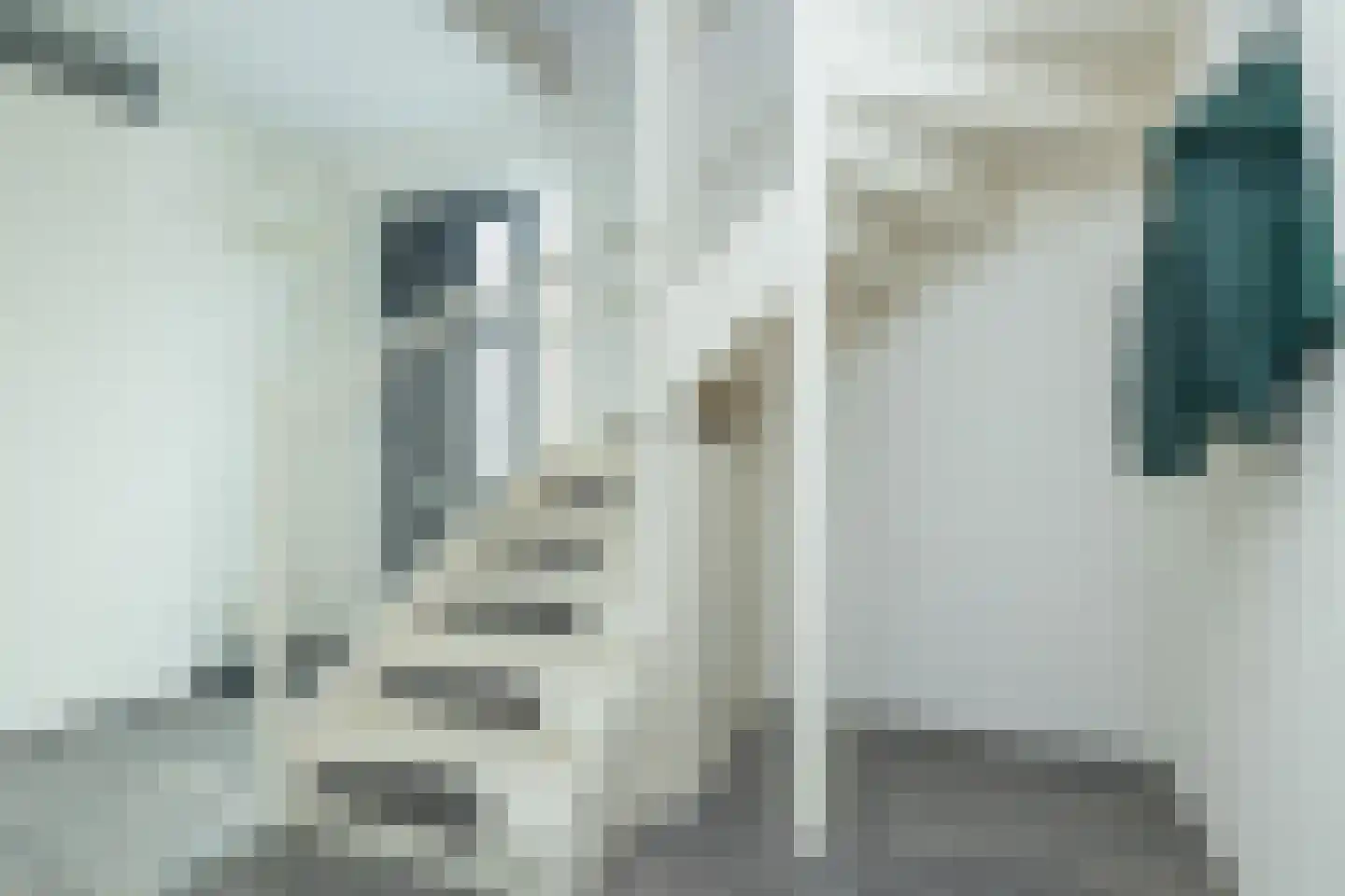 Jutte 7 Zuidwolde thumbnail 20