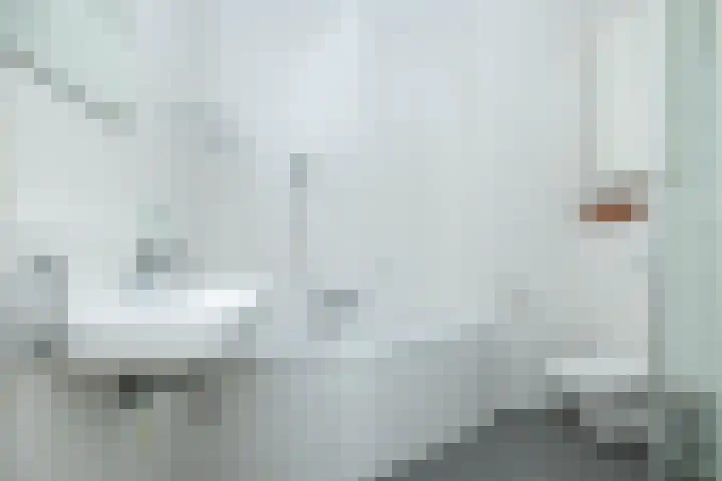 Jutte 7 Zuidwolde thumbnail 28