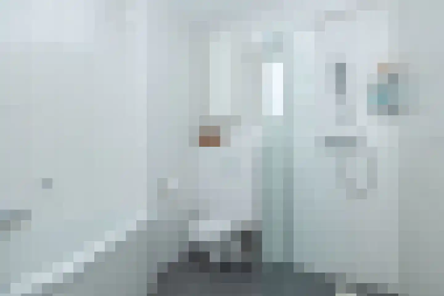 Jutte 7 Zuidwolde thumbnail 30