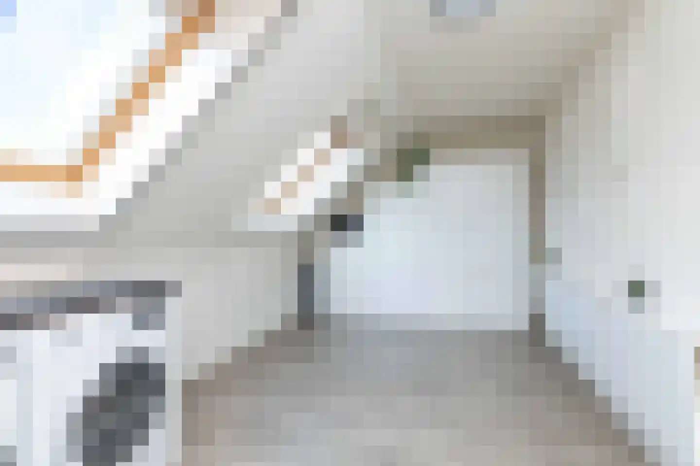 Jutte 7 Zuidwolde thumbnail 38