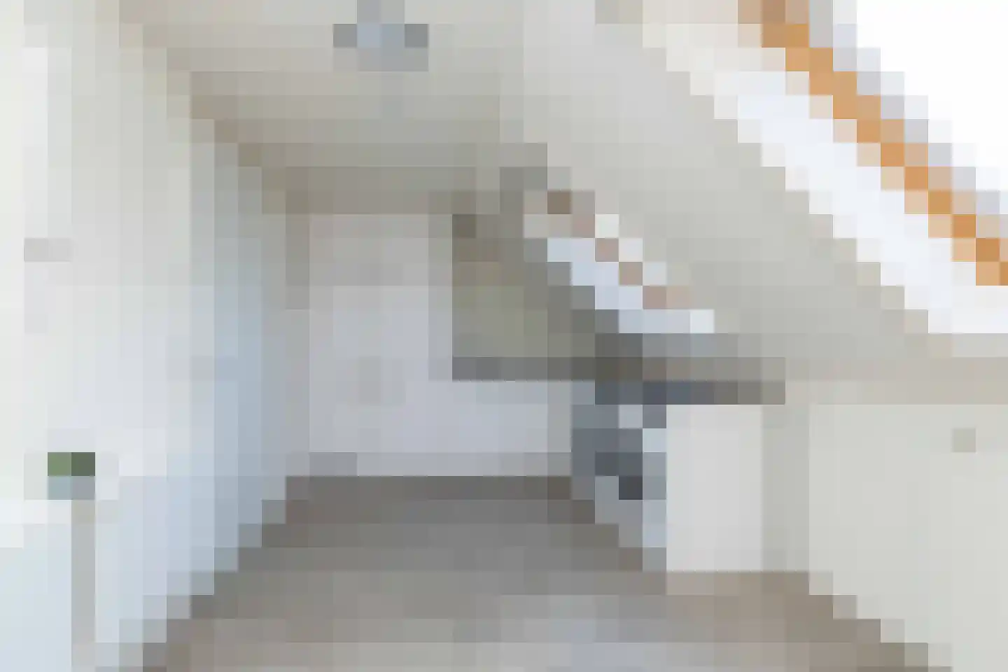 Jutte 7 Zuidwolde thumbnail 39