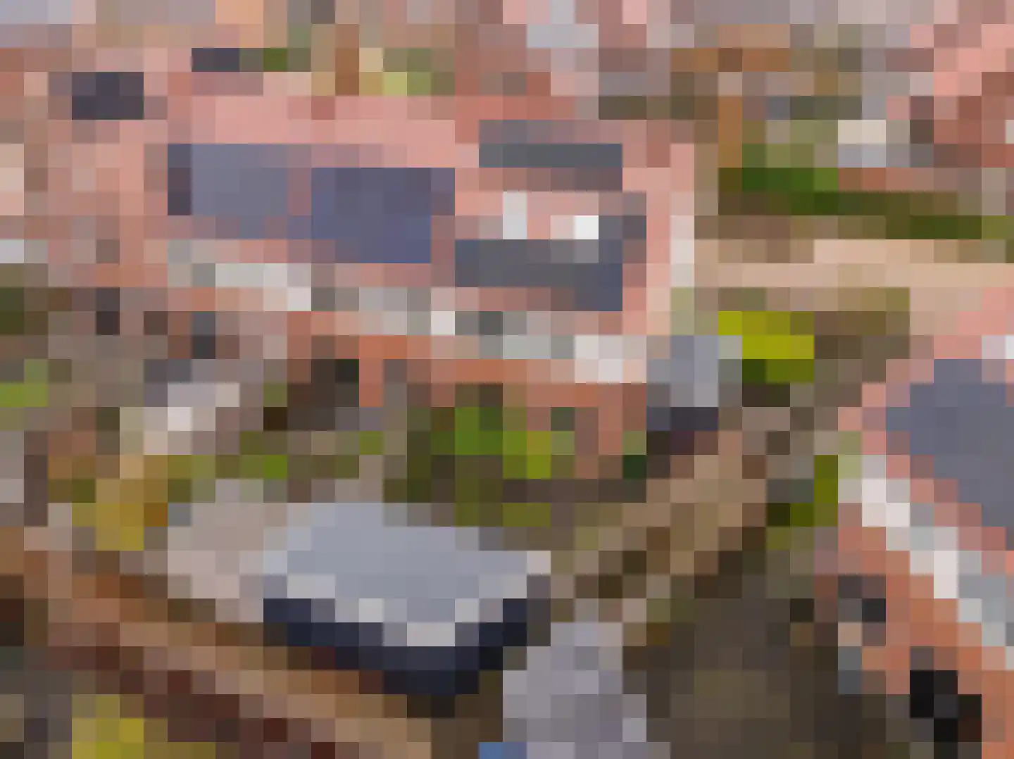 Jutte 7 Zuidwolde thumbnail 40