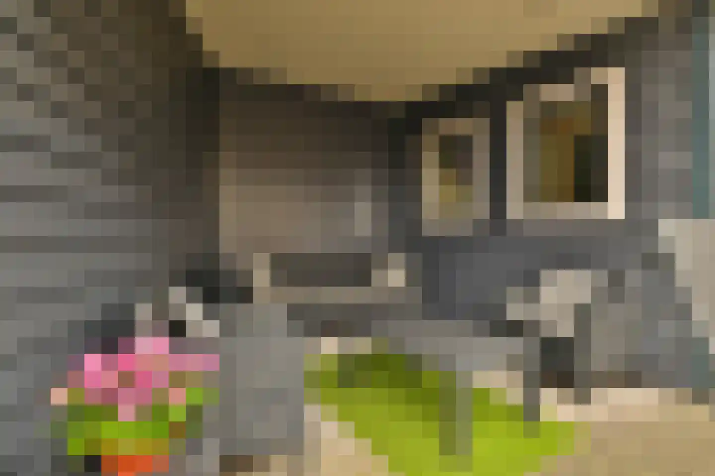 Jutte 7 Zuidwolde thumbnail 44