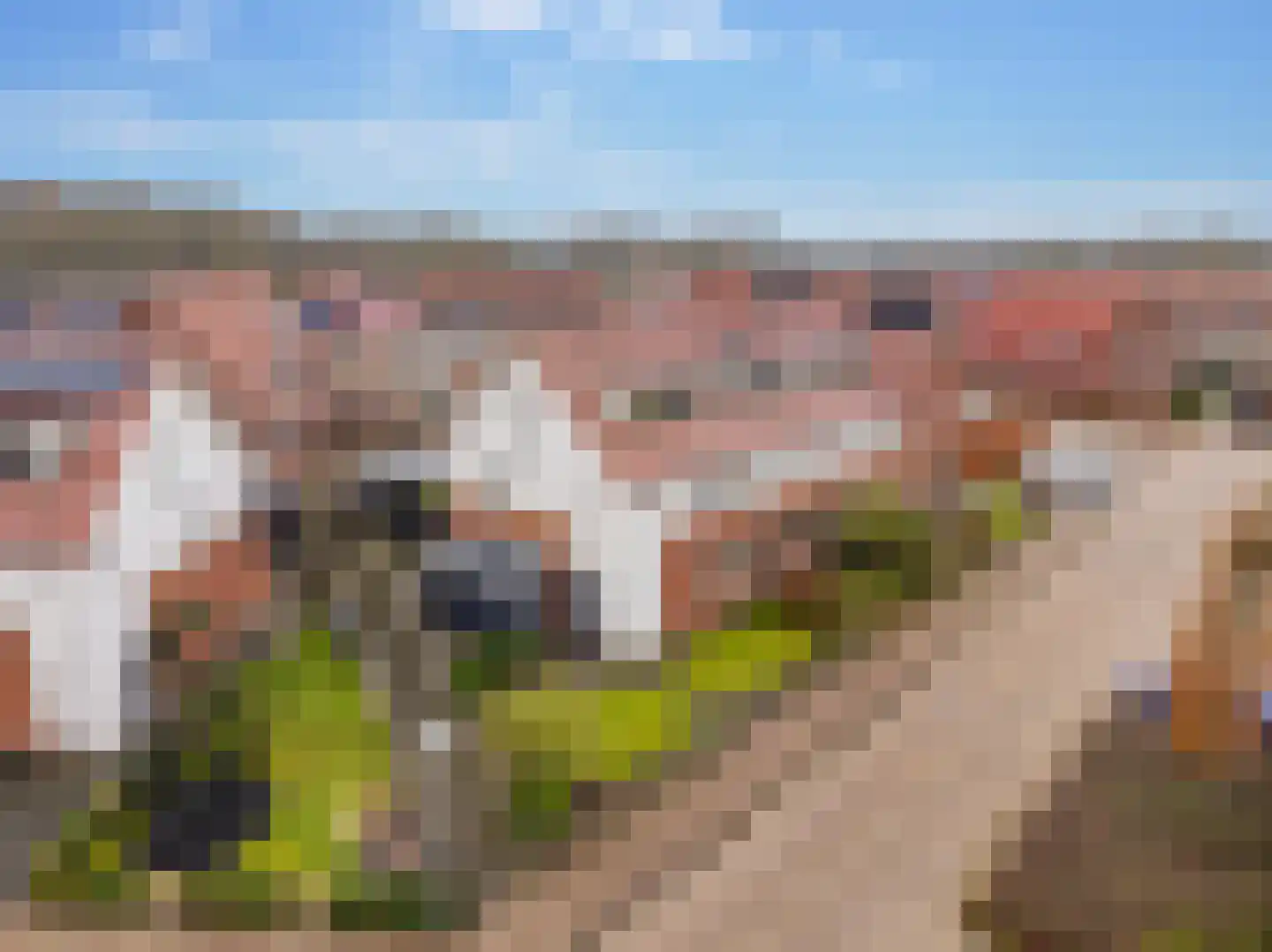 Jutte 7 Zuidwolde thumbnail 5