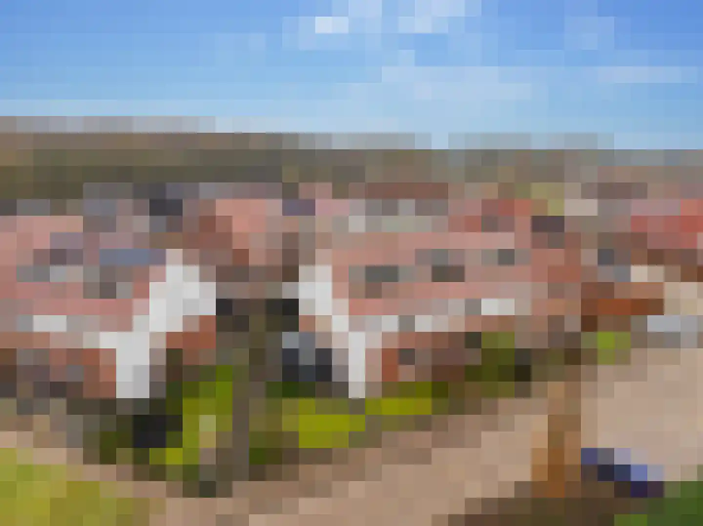 Jutte 7 Zuidwolde thumbnail 58