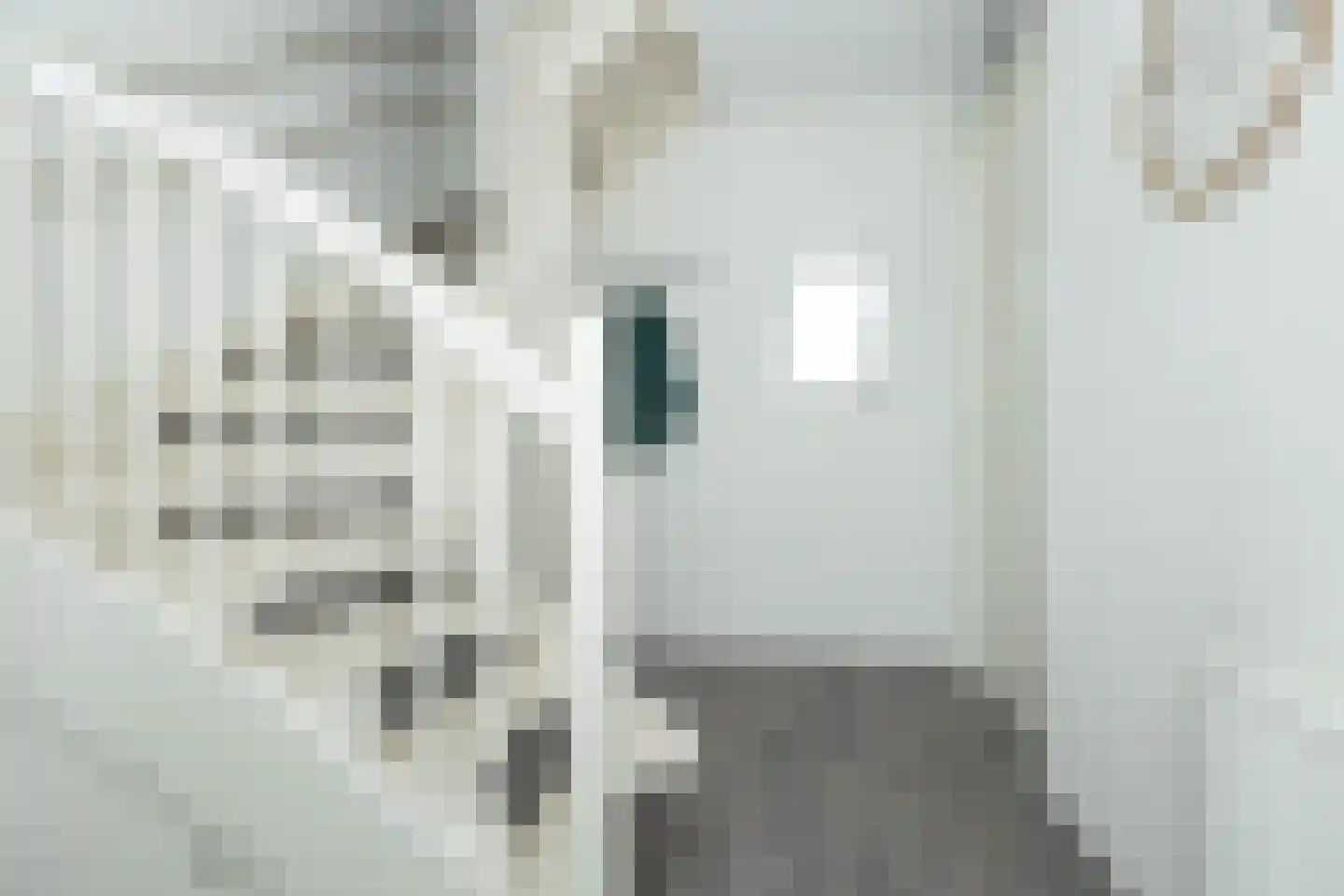 Jutte 7 Zuidwolde thumbnail 8