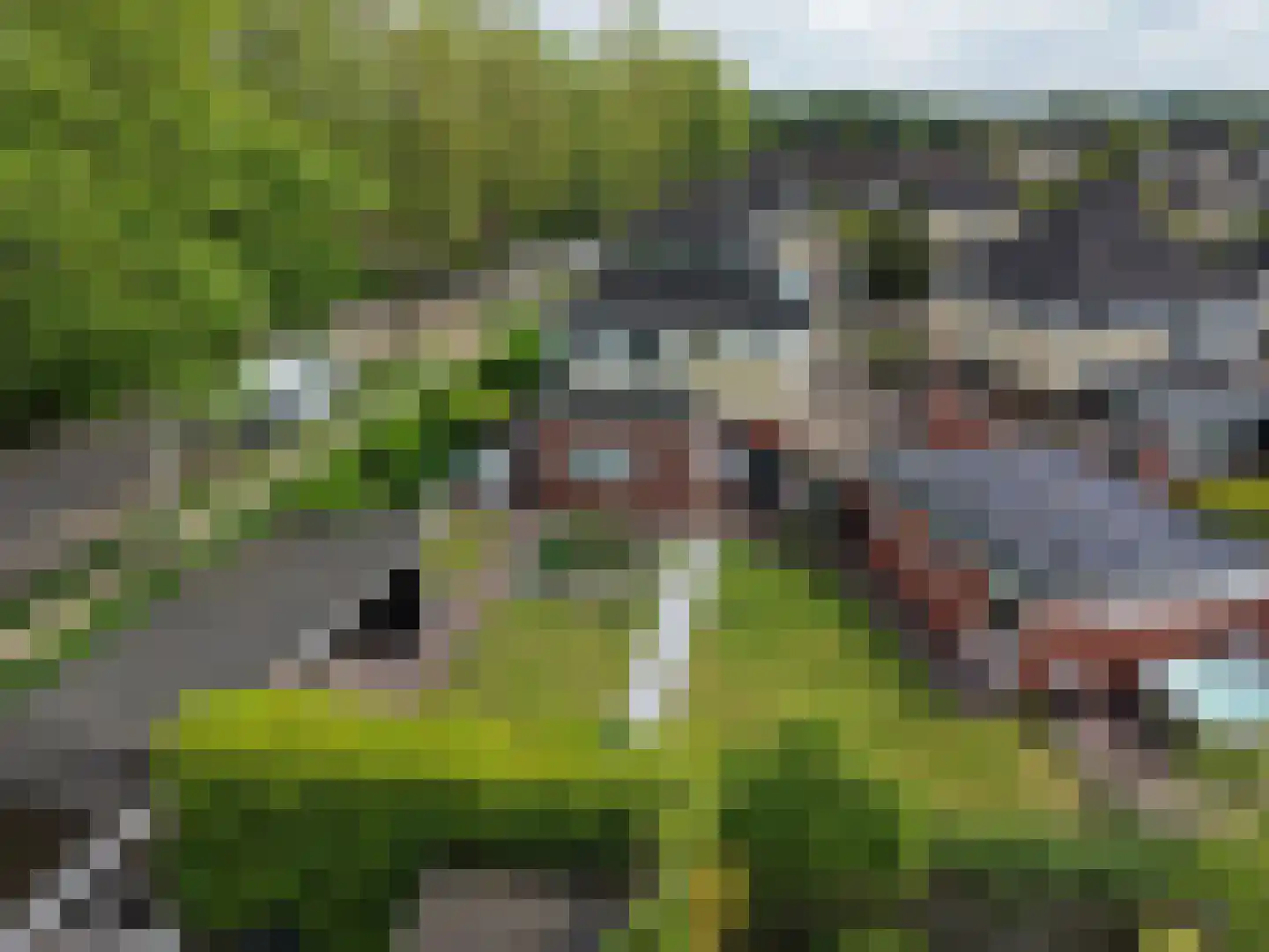 Juttepad 1 in Zelhem