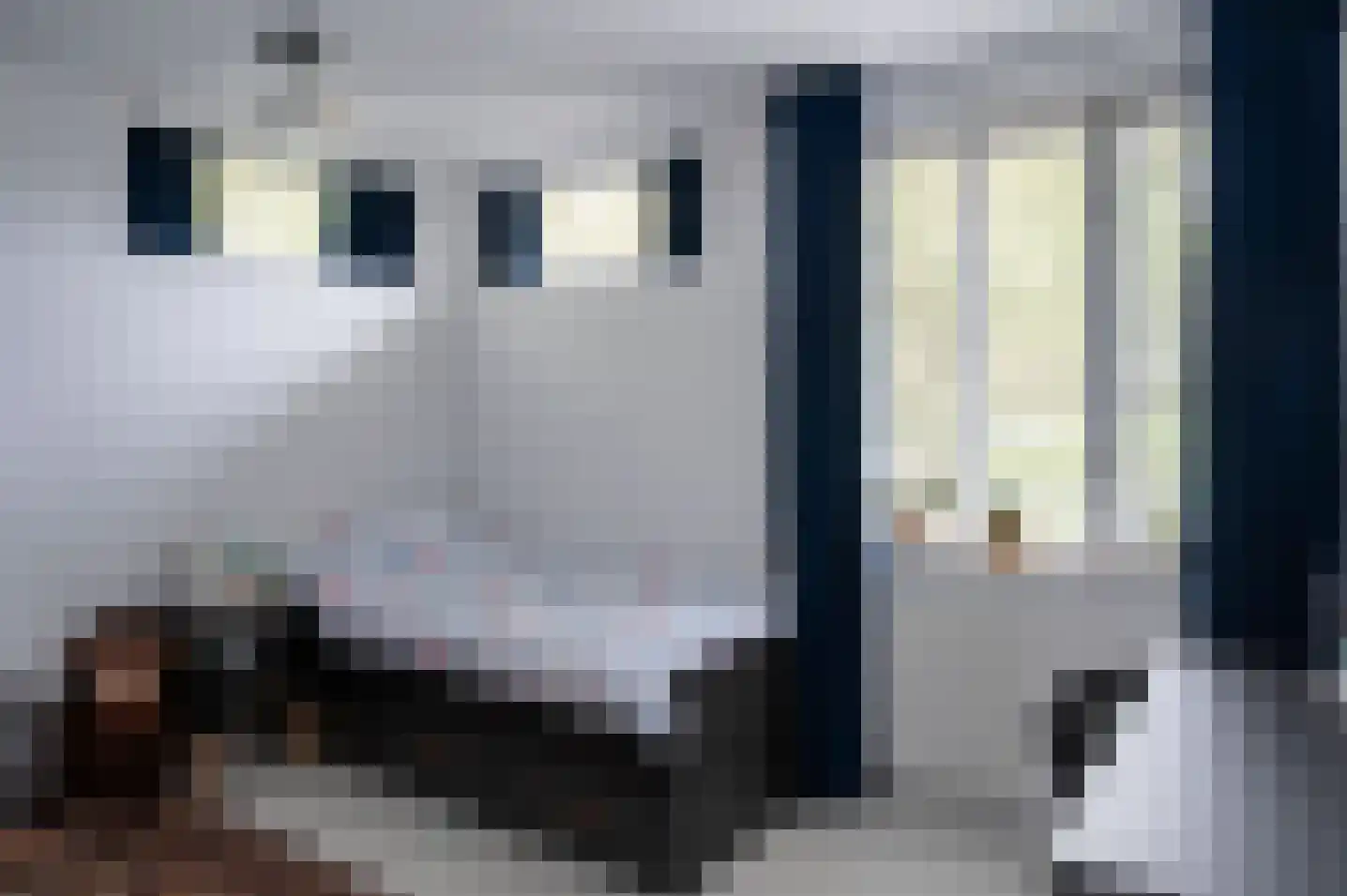 Juttepad 1 Zelhem thumbnail 30