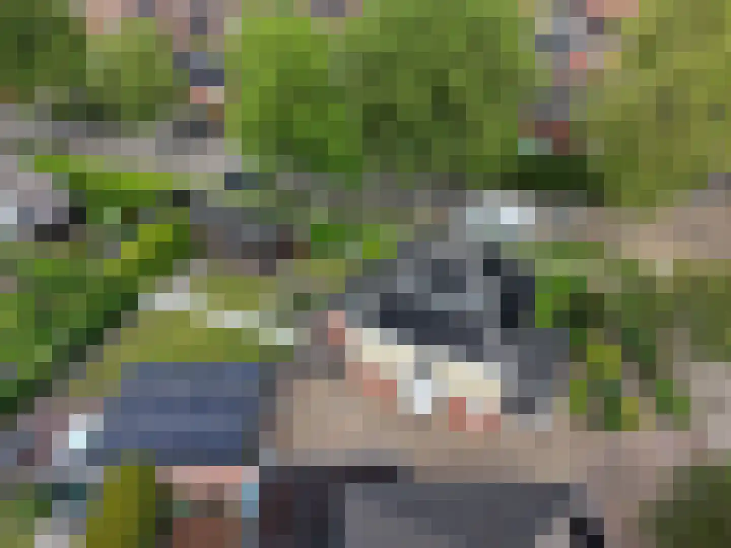 Juttepad 1 Zelhem thumbnail 4
