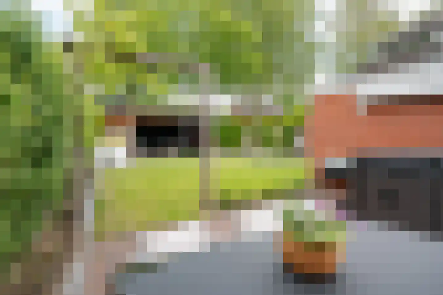 Juttepad 1 Zelhem thumbnail 48