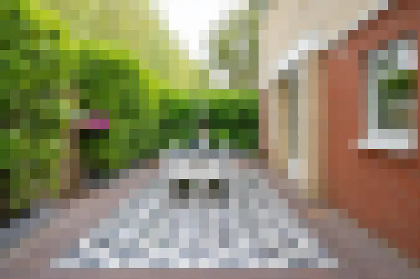Juttepad 1 Zelhem thumbnail 50