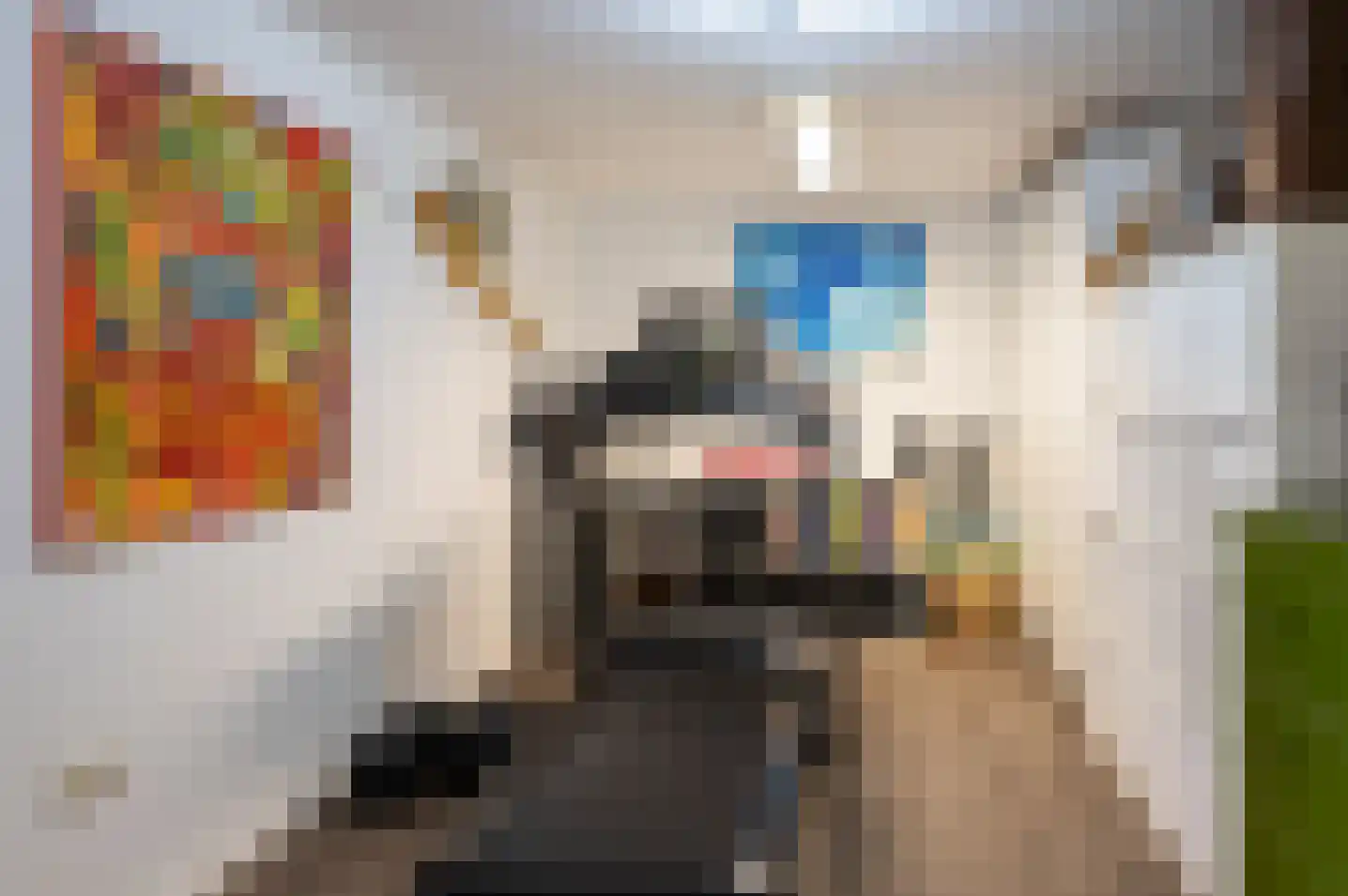 Juttepad 1 Zelhem thumbnail 58