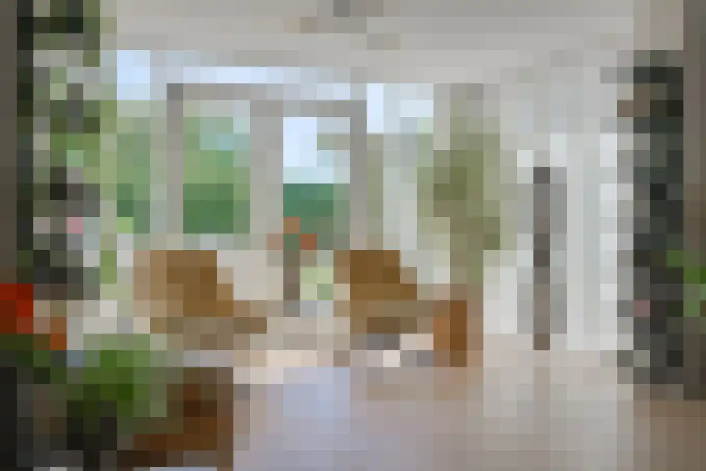 Juttepad 4 Zelhem thumbnail 16