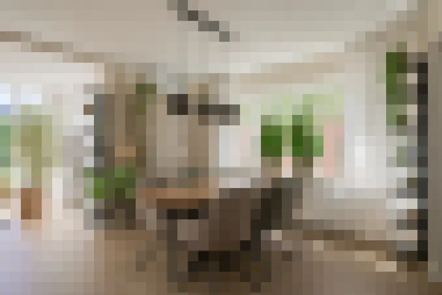 Juttepad 4 Zelhem thumbnail 19